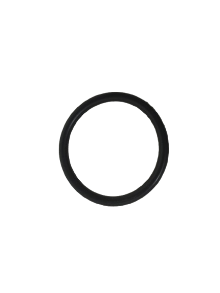 E15 - O-Ring 30,8x3 - Motron Ventura 125