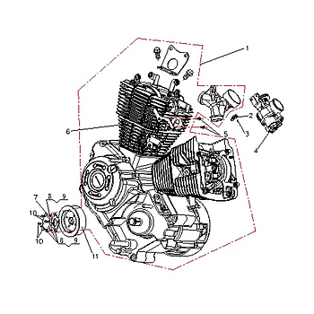 Poli Pequena da transmissao (11) - Bluroc/Bullit (V-Bob 250)