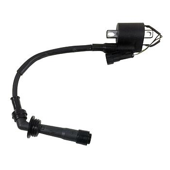 Bobine de ignição completa - Motron X-Nord